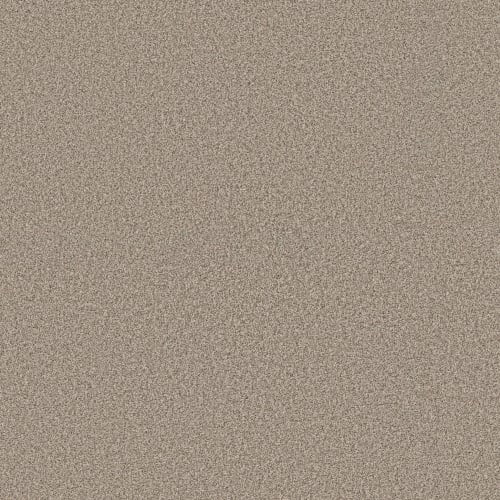 Hook Up in Spark Carpet