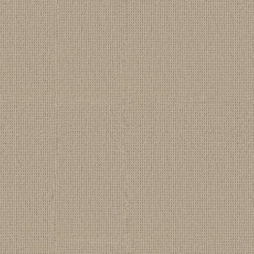 Chain Reaction in Sequence Carpet