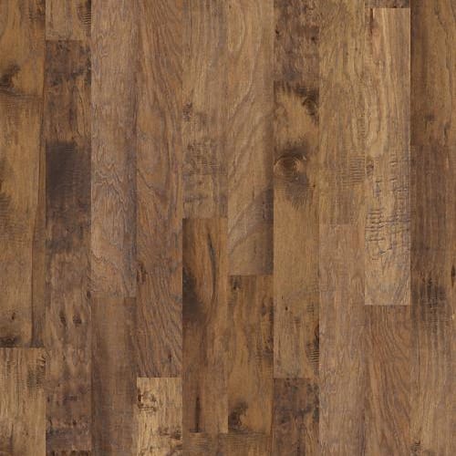 Bernina Hickory In Fora