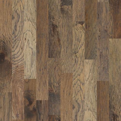 Bernina Hickory in Cambrena