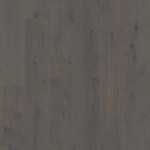 Imperial Pecan in Dove
