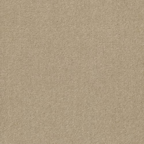 Ab346 in Lotus Carpet