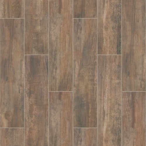 Pioneering 8X36 In Brown