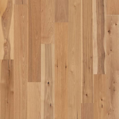 Monarch Bay Hickory in Coat Of Arms Hardwood