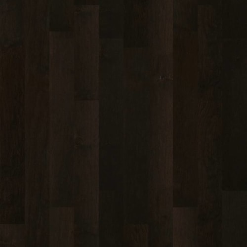 Adler Way In Midnight