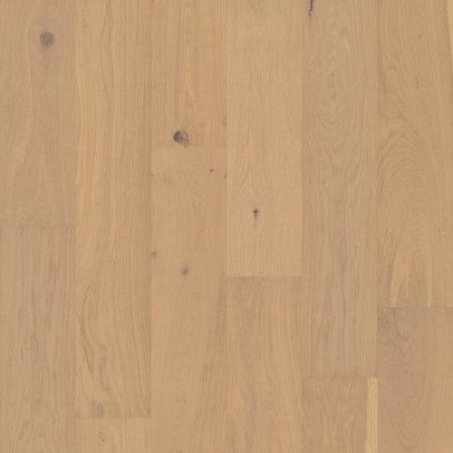 HENSLEY PARK in Champagne Hardwood