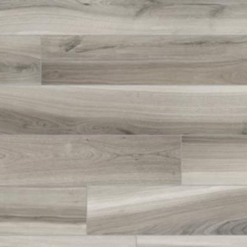 Belize Plank in Exotic Ash - 6x24 Tile