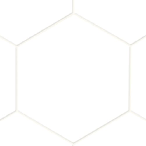 Brio in White - 8.5x10 Hexagon Tile