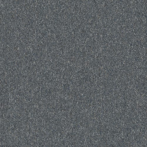 FIFTH DIMENSION in Daring Carpet