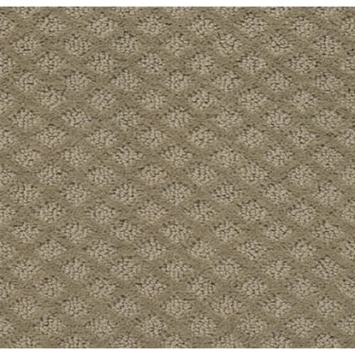 Rainy Days 12 in Brown Bark Carpet