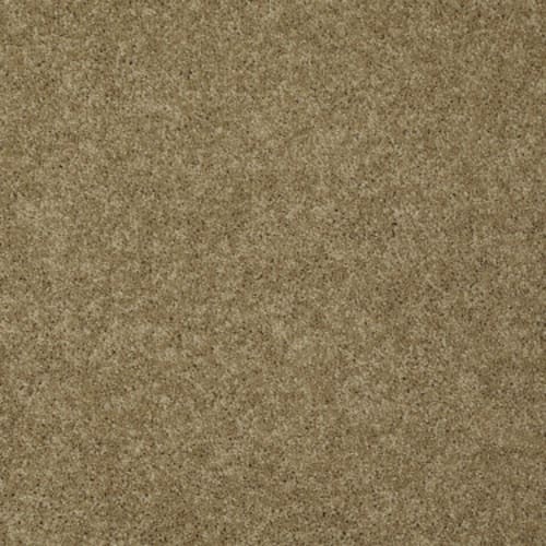 PERSISTENT I in Sandstone Carpet