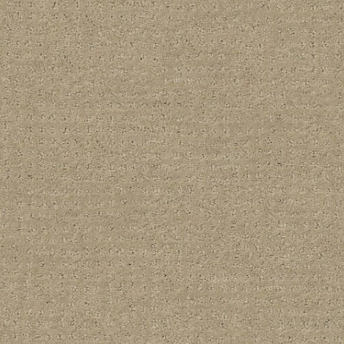 PERSONAL TASTE in Misty Dawn Carpet