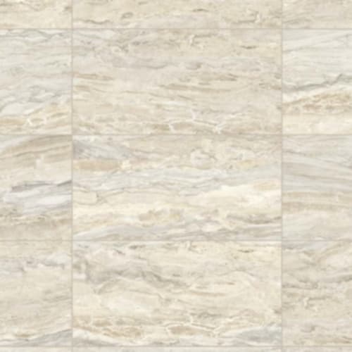 Evolution In Ivory - 12X24
