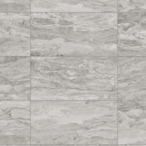 Evolution In Silver - 24X48