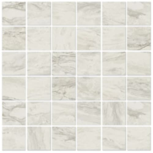 Evolution in White - 2x2 Mosaic Tile