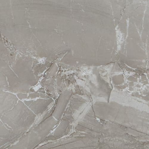 Famed in Fortune 6x24 Tile