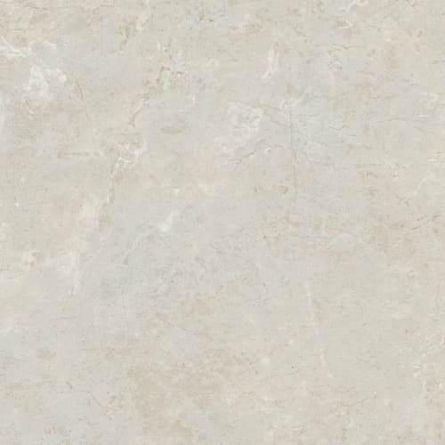 Florentine in Argento 10x14 Tile