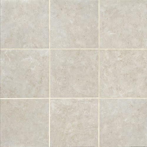 Florentine In Argento 12X12