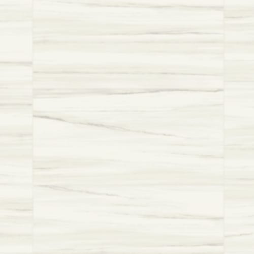 Iconic In Dolomite - 6X24C