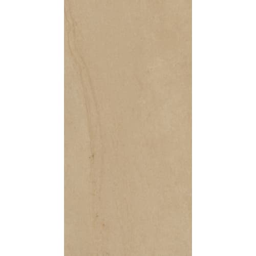 Passenger In Anywhere Beige 12" X 24"