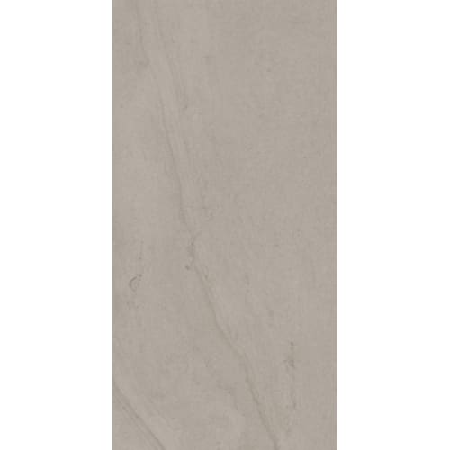 Passenger In Leisure Gray 12" X 24"