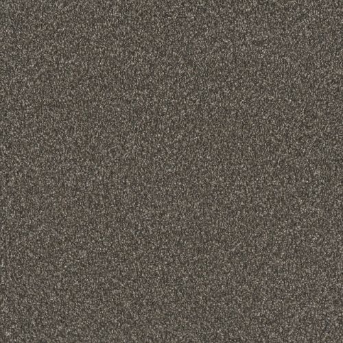 Shaw Industries | Purrsuasion