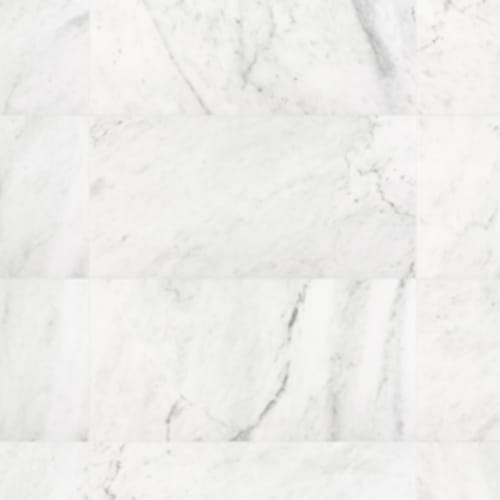 Natural Marble in Bianco Venatino - 12x24 Tile
