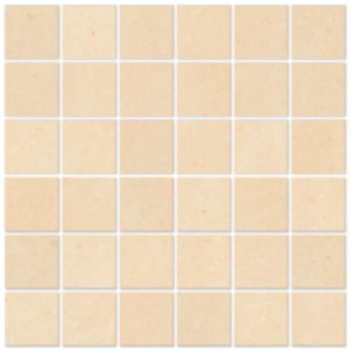 Oasis in Home - 2x2 Mosaic Tile