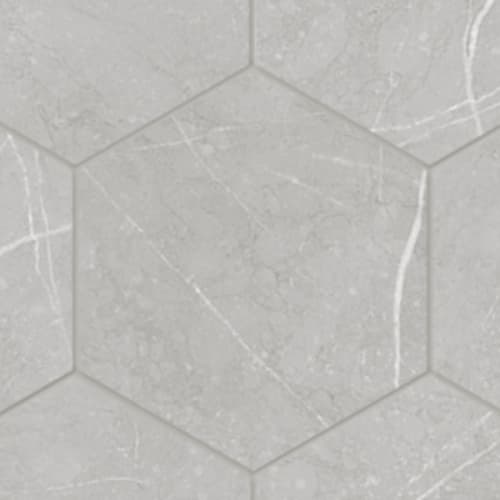 Paris In Grigio - 5X6 Hexagon