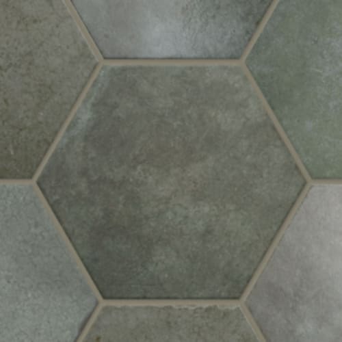 Parkside In Verde - 7X8 Hexagon