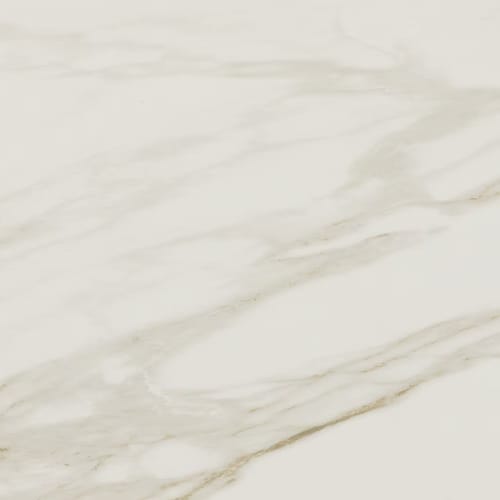 Perpetuo in Brilliant White 12x24 Tile