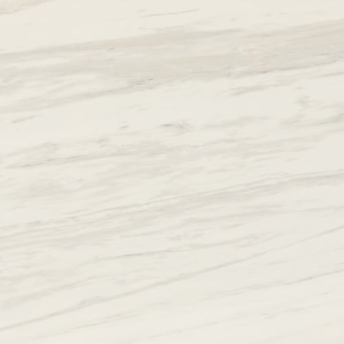 Perpetuo In Timeless White 12X24