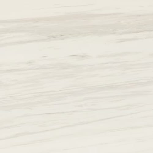 Perpetuo in Timeless White 4x12 Tile