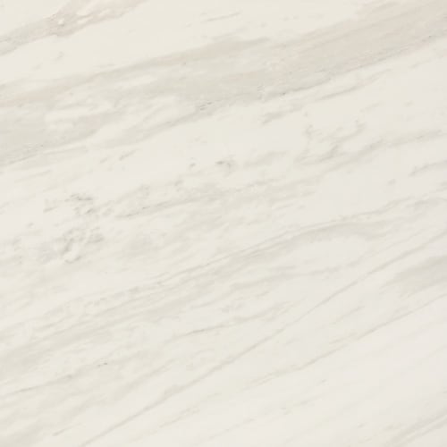 Perpetuo In Timeless White 24X24