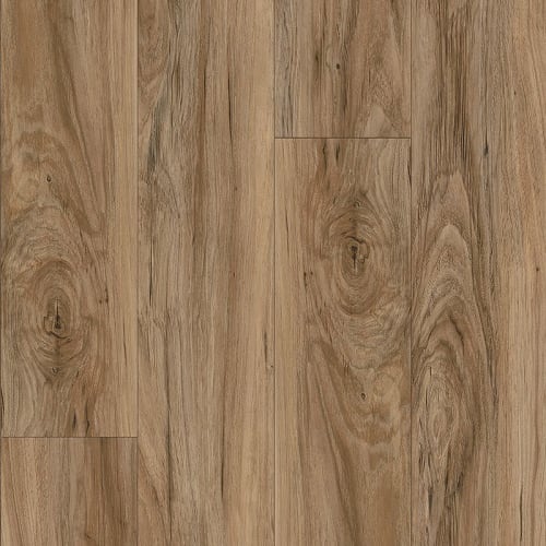 Bowman Ii In Seaside Sparrow Pine