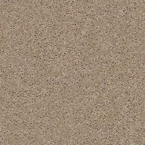 Bv Island in Tumbleweed Carpet