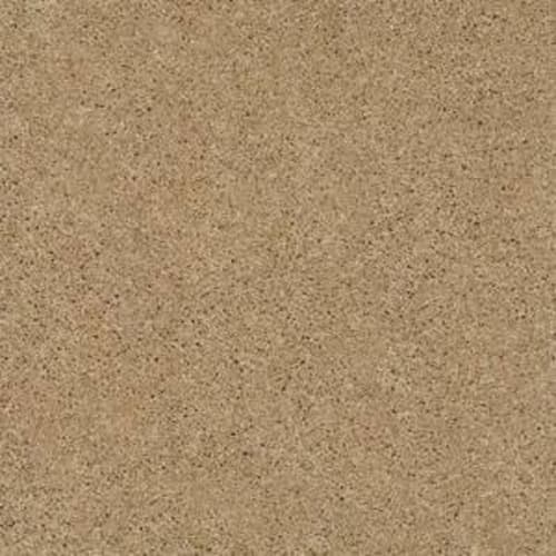 Rewarded in Circuit Carpet