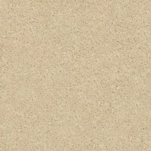 Rich in Co-Channel Carpet