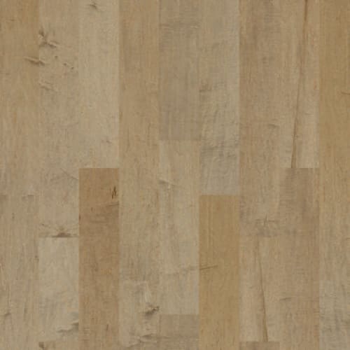 Yukon Maple 6 3/8 In Gold Dust