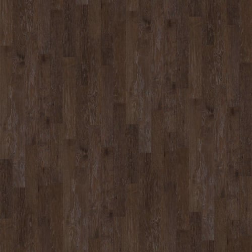 Fremont Hickory In Veranda