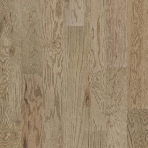 Exploration Oak In Voyage
