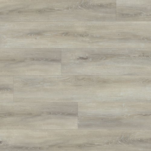 Turbo in Interlagos Luxury Vinyl