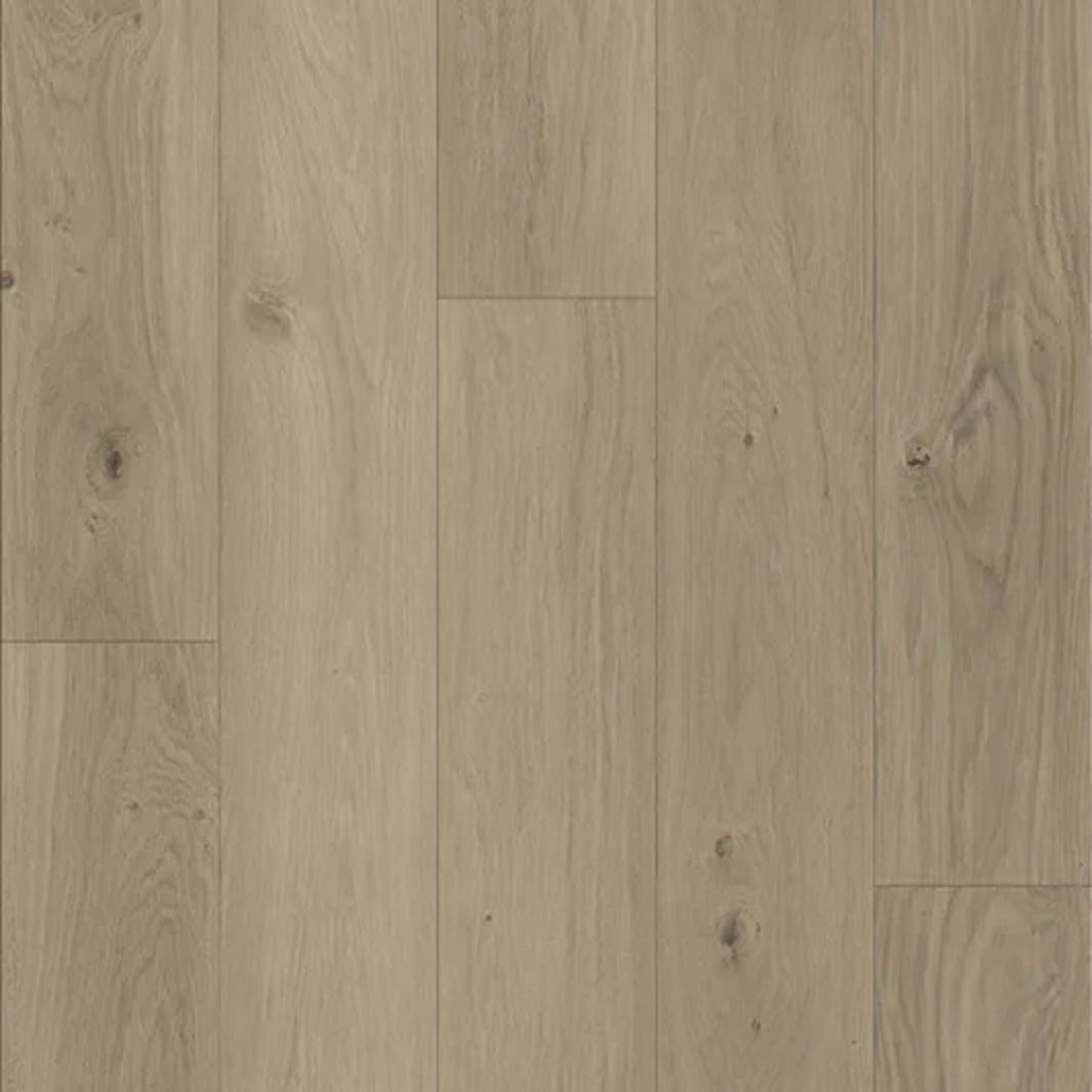 Design Plus in Cadence Oak Luxury Vinyl