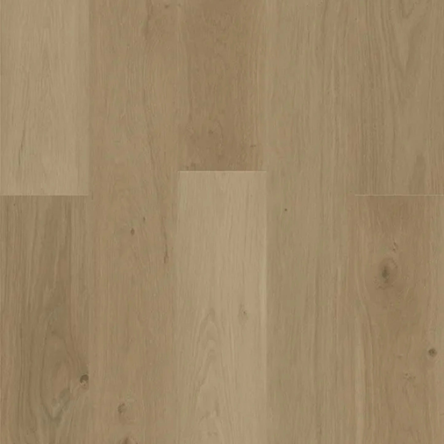 Design Plus in Echo Oak Luxury Vinyl