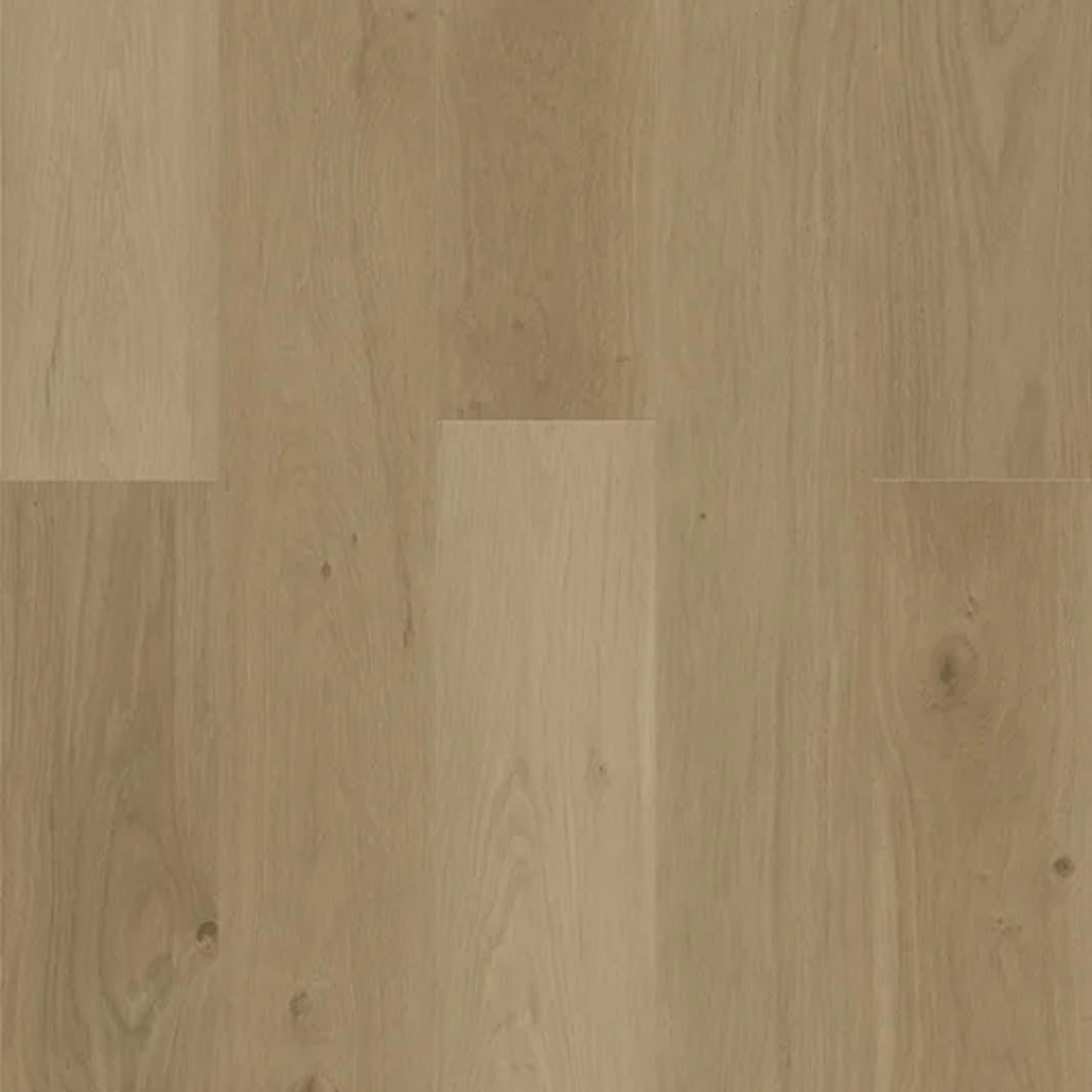 Design Plus in Echo Oak Luxury Vinyl