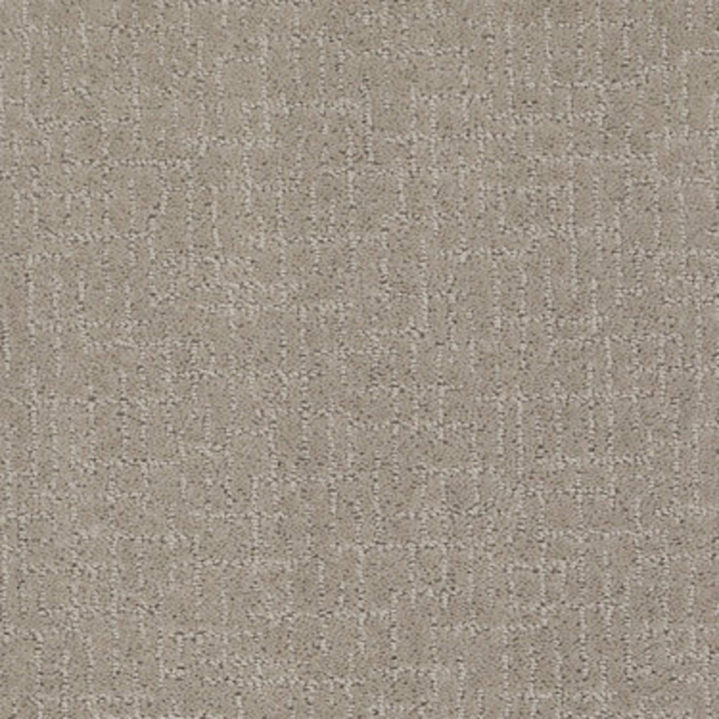 After Hours in Ashwood Carpet