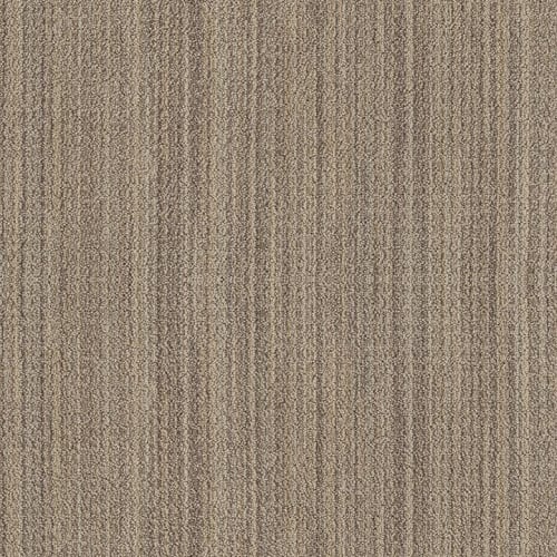 SUNDANCE in Wild Oats Carpet