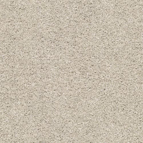 Quail Ridge I in Grey Flannel Carpet