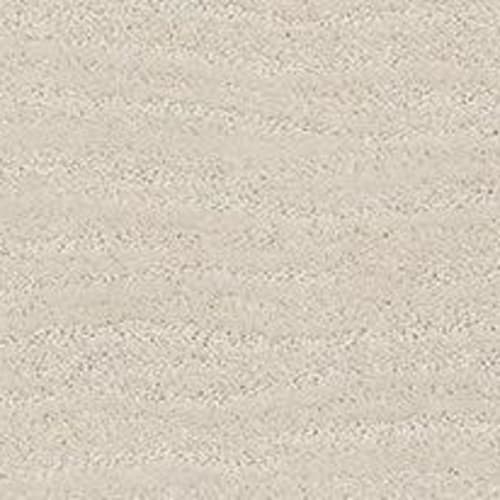 POSE in Minimal Carpet