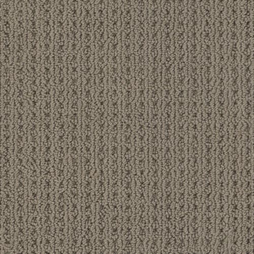 SAN LUCAS in Homestead Carpet